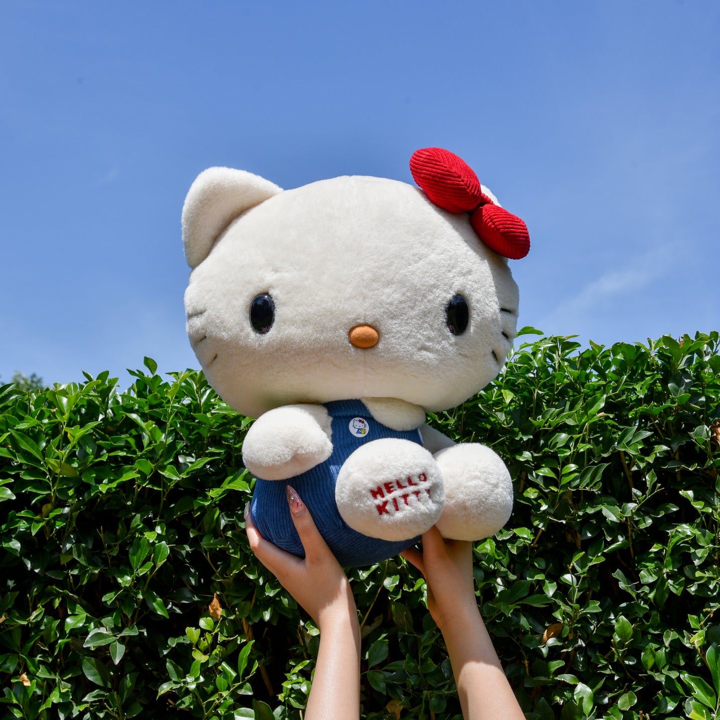 Classic Hello Kitty Plush Large Set